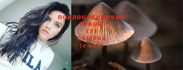 ГАЛЛЮЦИНОГЕННЫЕ ГРИБЫ Заволжье