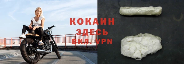 ГАЛЛЮЦИНОГЕННЫЕ ГРИБЫ Заволжье
