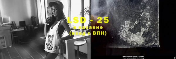 ГАЛЛЮЦИНОГЕННЫЕ ГРИБЫ Заволжье