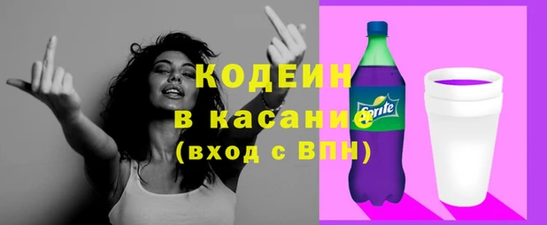 шишки Заволжск