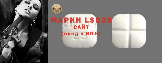 ГАЛЛЮЦИНОГЕННЫЕ ГРИБЫ Заволжье