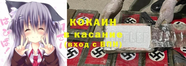 шишки Заволжск