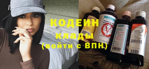 ГАЛЛЮЦИНОГЕННЫЕ ГРИБЫ Заволжье
