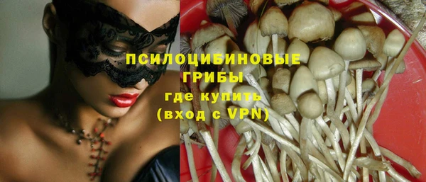 шишки Заволжск
