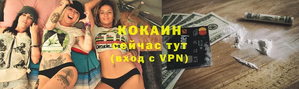 шишки Заволжск
