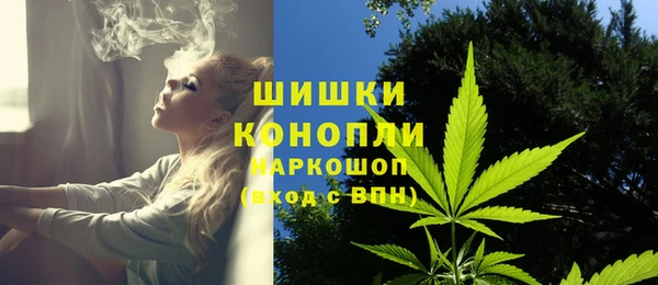 ГАЛЛЮЦИНОГЕННЫЕ ГРИБЫ Заволжье