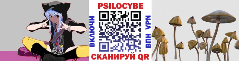 Купить  Олёкминск  Псилоцибиновые грибы Psilocybine cubensis 
